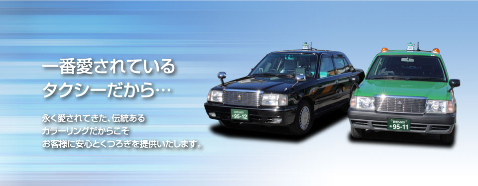 車色・防犯灯(オプション)